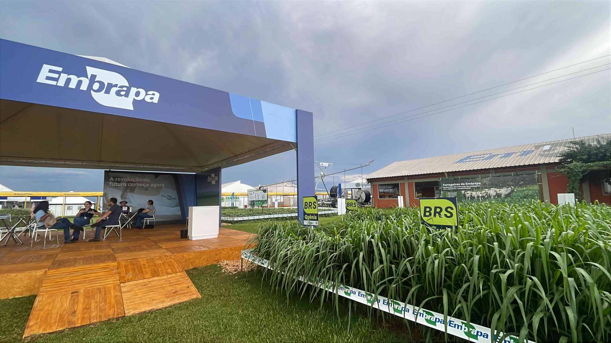 Inovações para o campo e lançamentos marcam presença da Embrapa no Show ...